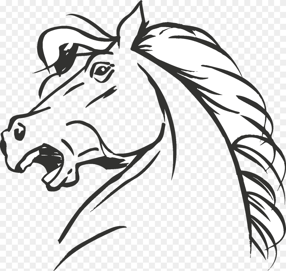Clip Art Collection Of Drawing Coloring In Horse Head, Person, Face, Stencil, Animal Png Image
