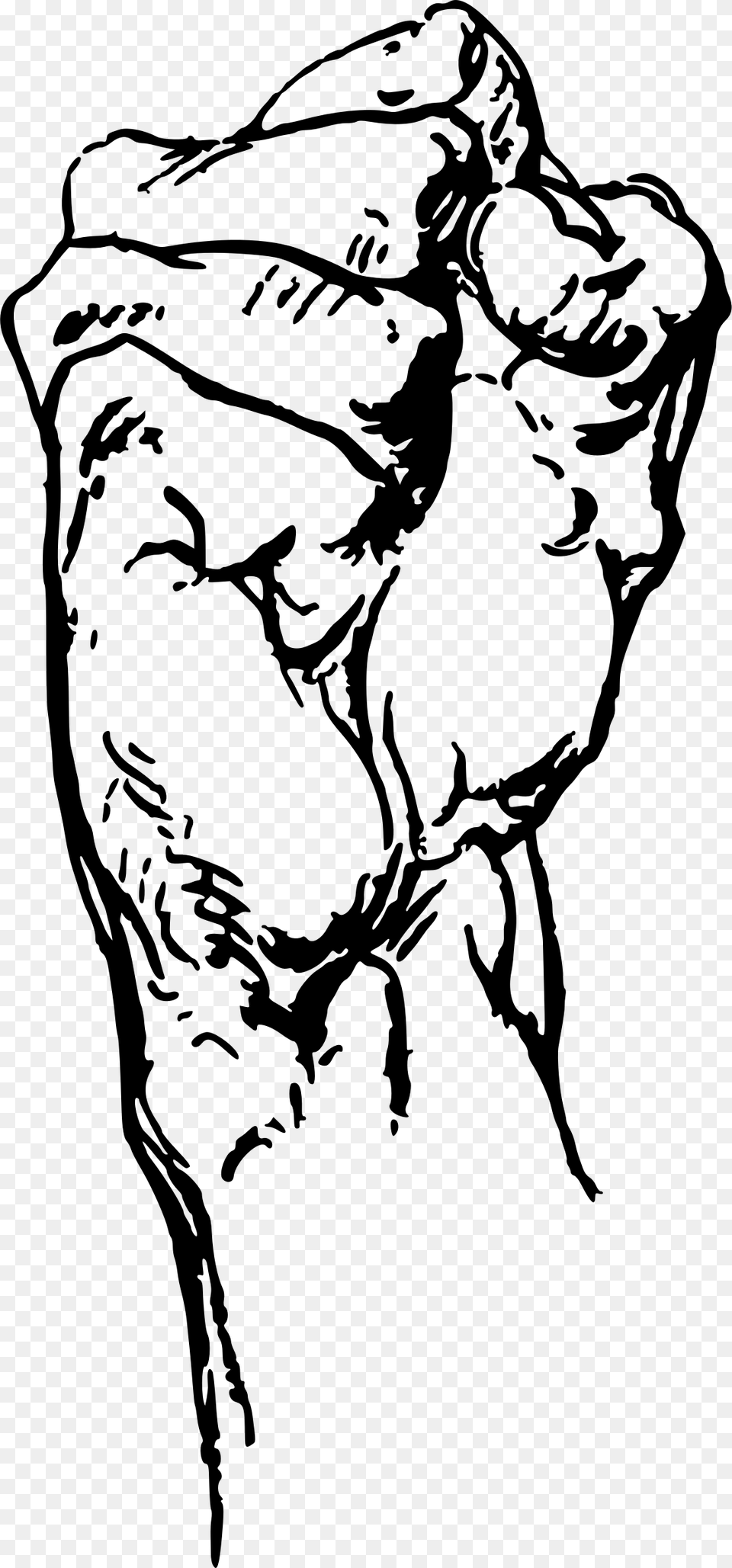 Clip Art Collection Of Drawing George Bridgman Constructive Anatomy, Gray Free Transparent Png