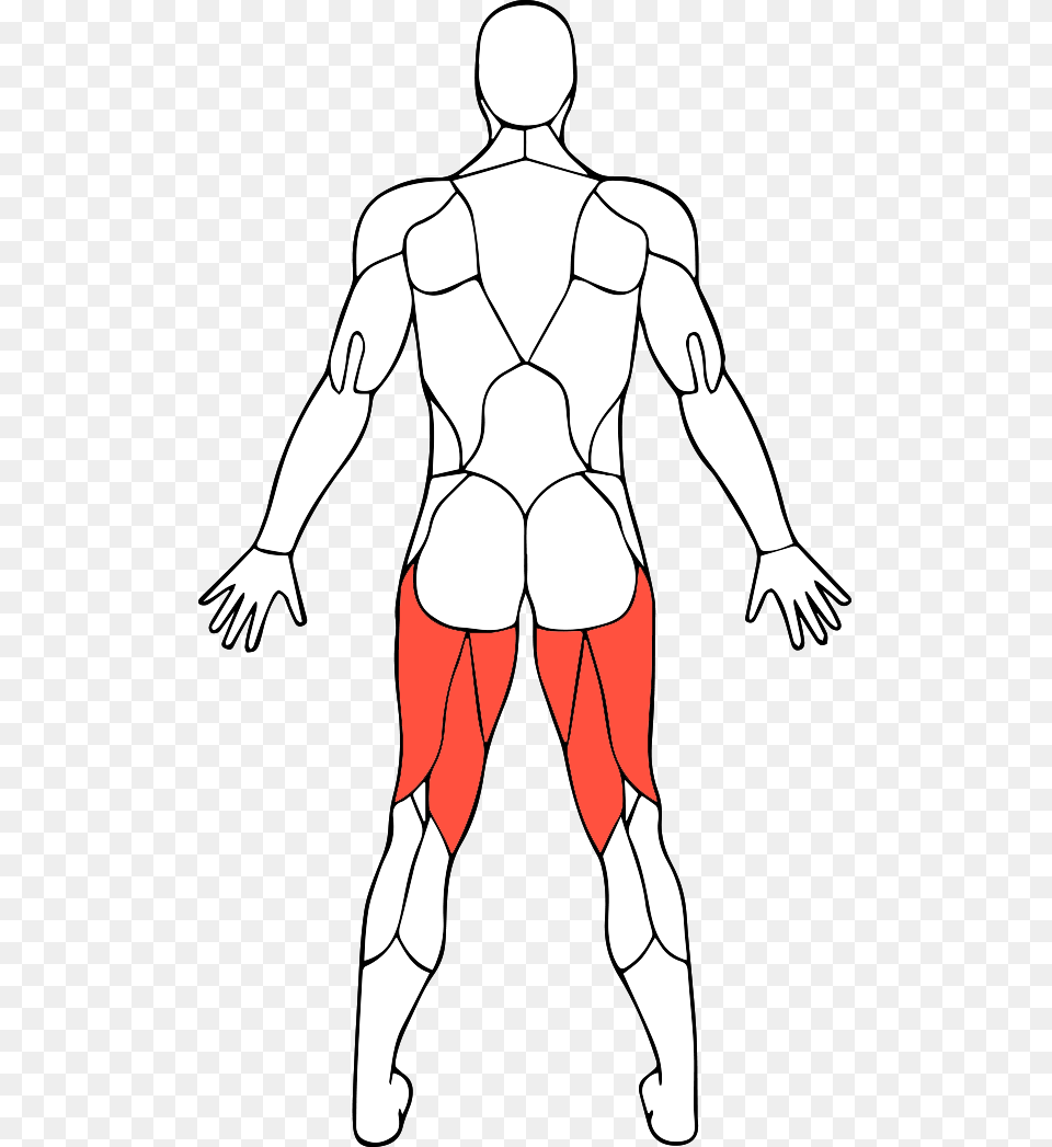 Clip Art Collection Of Free Drawing Line Art, Adult, Male, Man, Person Png Image
