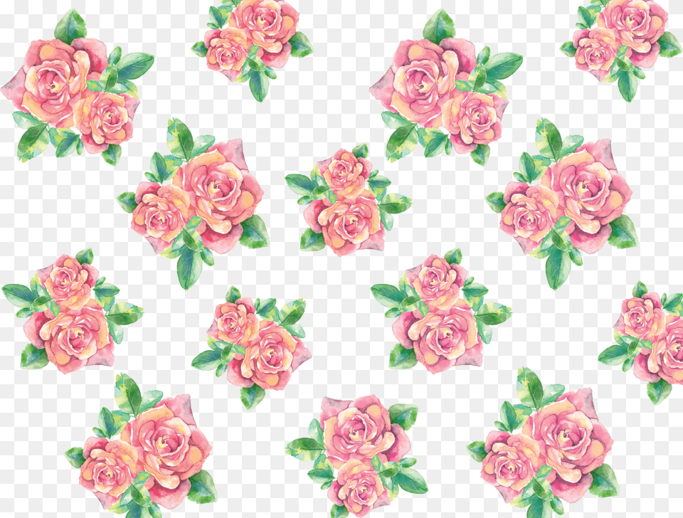 Clip Art Collection Of Transparent Transparent Rose Pattern, Flower, Plant, Floral Design, Graphics Free Png