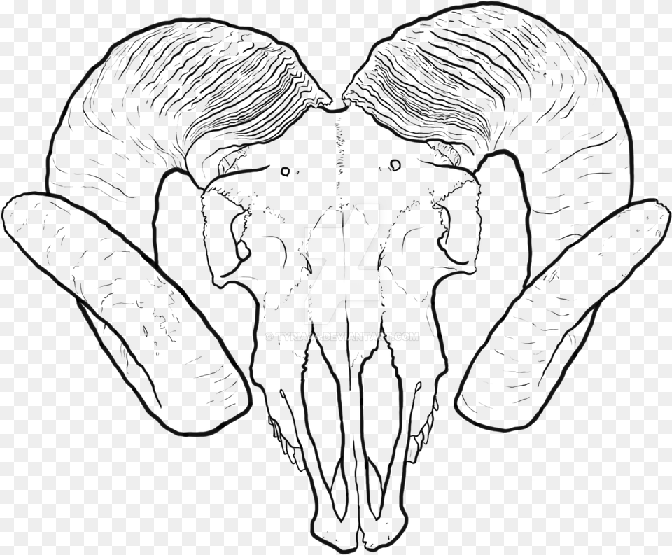 Clip Art Collection Of Free Valley Ram Skull Transparent Drawing, Symbol, Logo, Text Png
