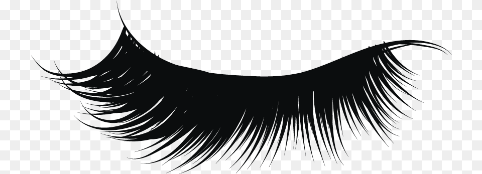 Clip Art Collection Of Vector Transparent Background Eyelash, Nature, Night, Outdoors, Accessories Free Png Download