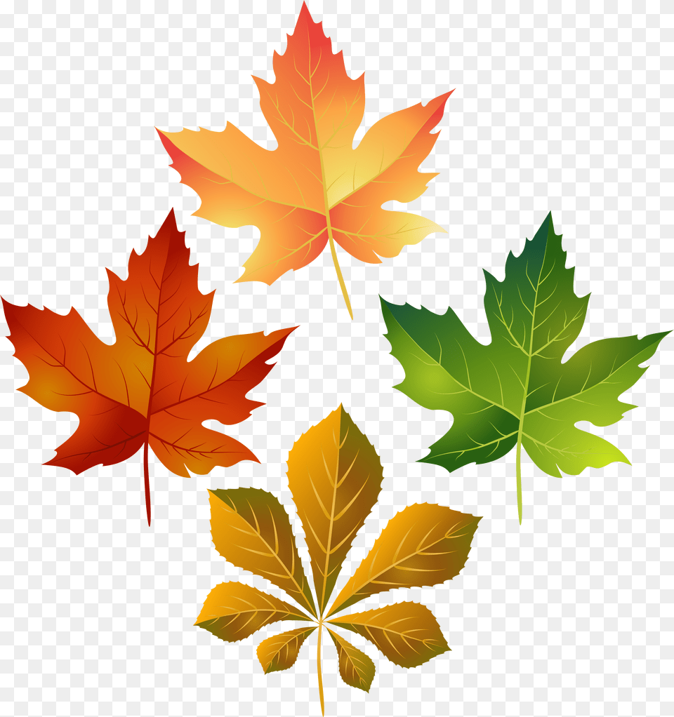 Clip Art Colorful Fall Leaves Clipart, Leaf, Plant, Tree, Maple Leaf Png Image