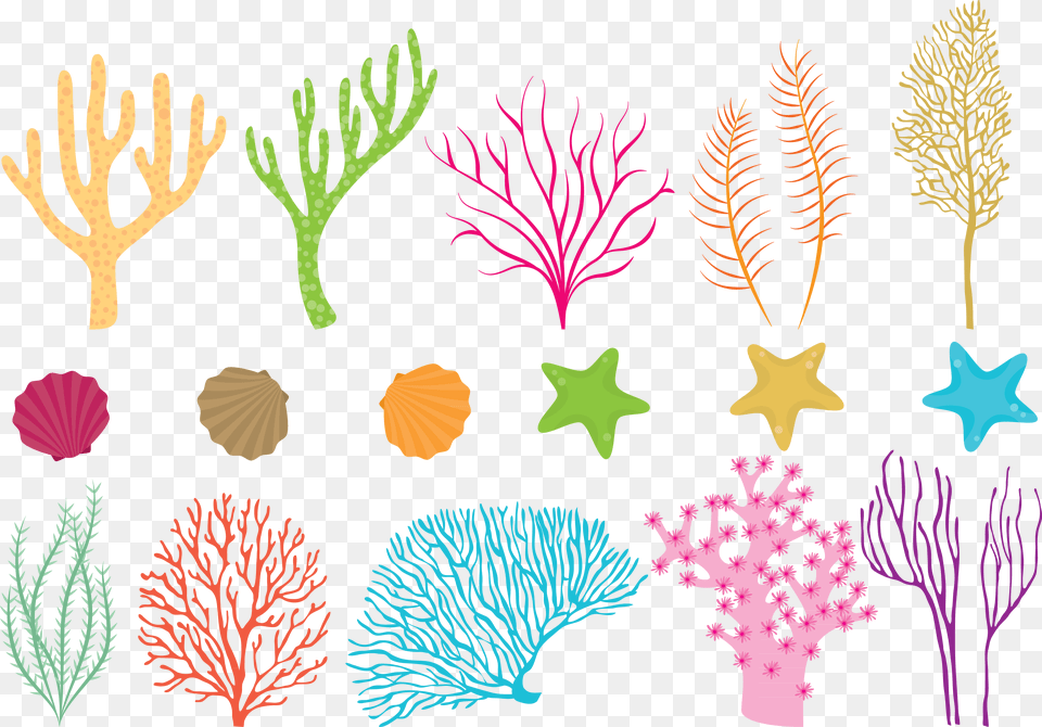 Clip Art Coral Reef Vector Coral Reef Vector, Plant, Animal, Sea Life, Sea Free Png
