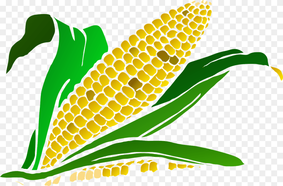 Clip Art Corn Maze, Food, Grain, Plant, Produce Free Png