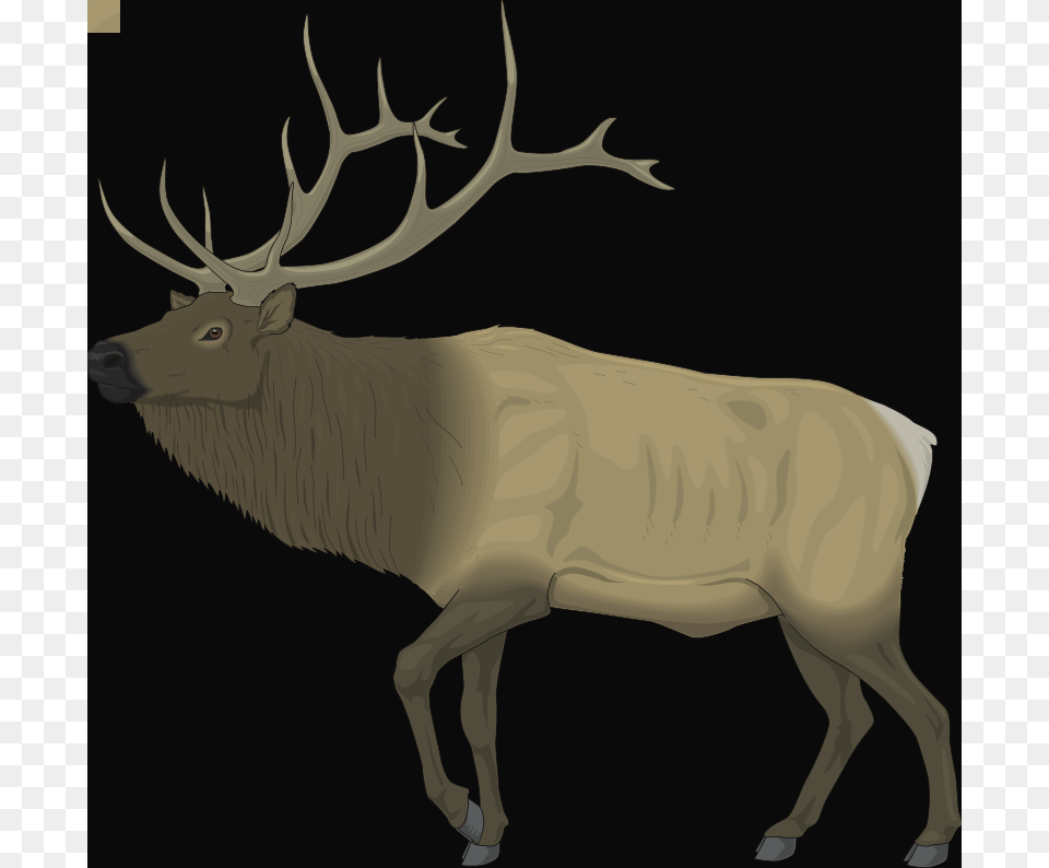 Clip Art Cow Head Silhouette Clip Art, Animal, Deer, Elk, Mammal Png