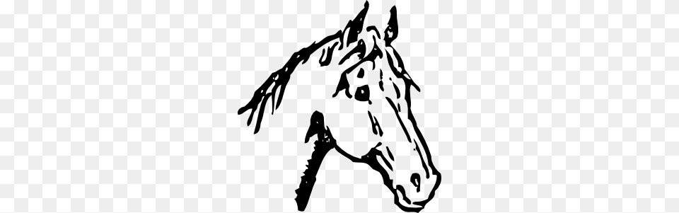 Clip Art Cowboys Horseback Horse Head Clip Art, Baby, Person, Animal, Colt Horse Free Png
