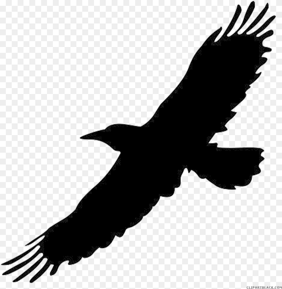 Clip Art Crow Bird Image Portable Network Graphics Flying Black Bird, Animal, Silhouette Free Png Download