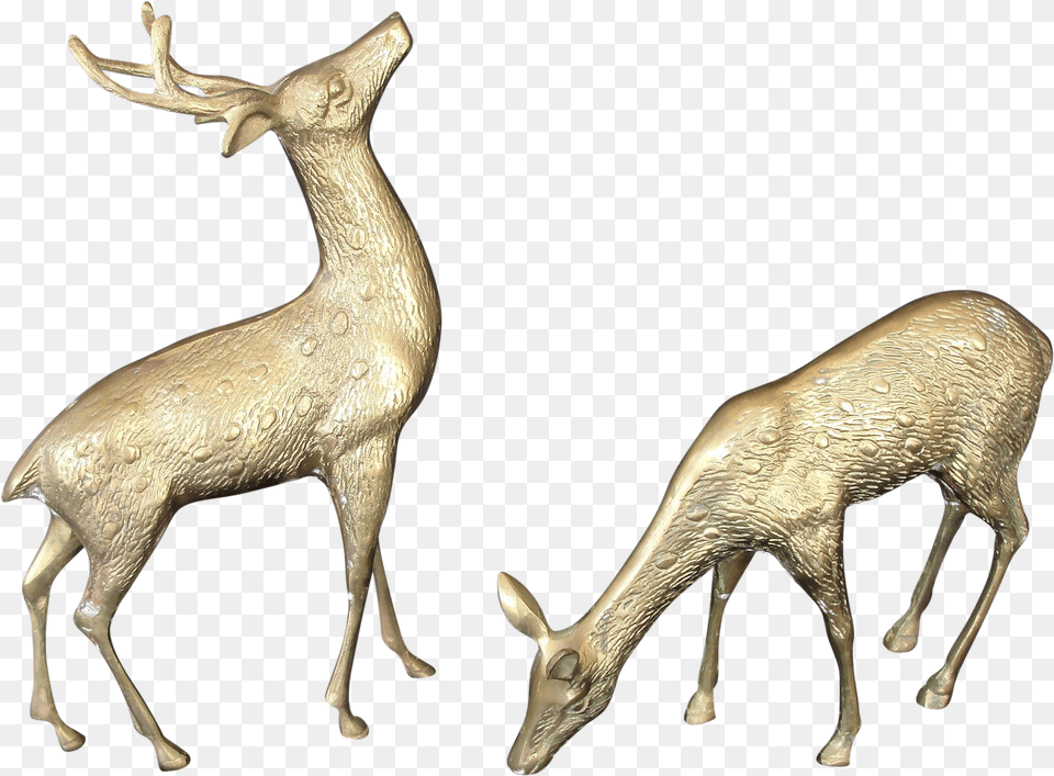 Clip Art Decorative Deer White Tailed Deer, Animal, Mammal, Wildlife, Antler Png Image