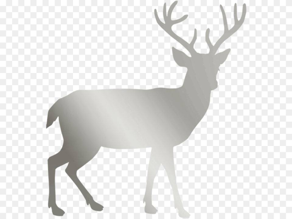 Clip Art Deer, Animal, Mammal, Wildlife, Elk Free Png