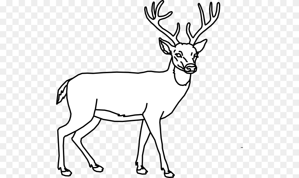 Clip Art Deer Clipart Black And White Deer Target With Vitals, Animal, Mammal, Wildlife, Antelope Free Png
