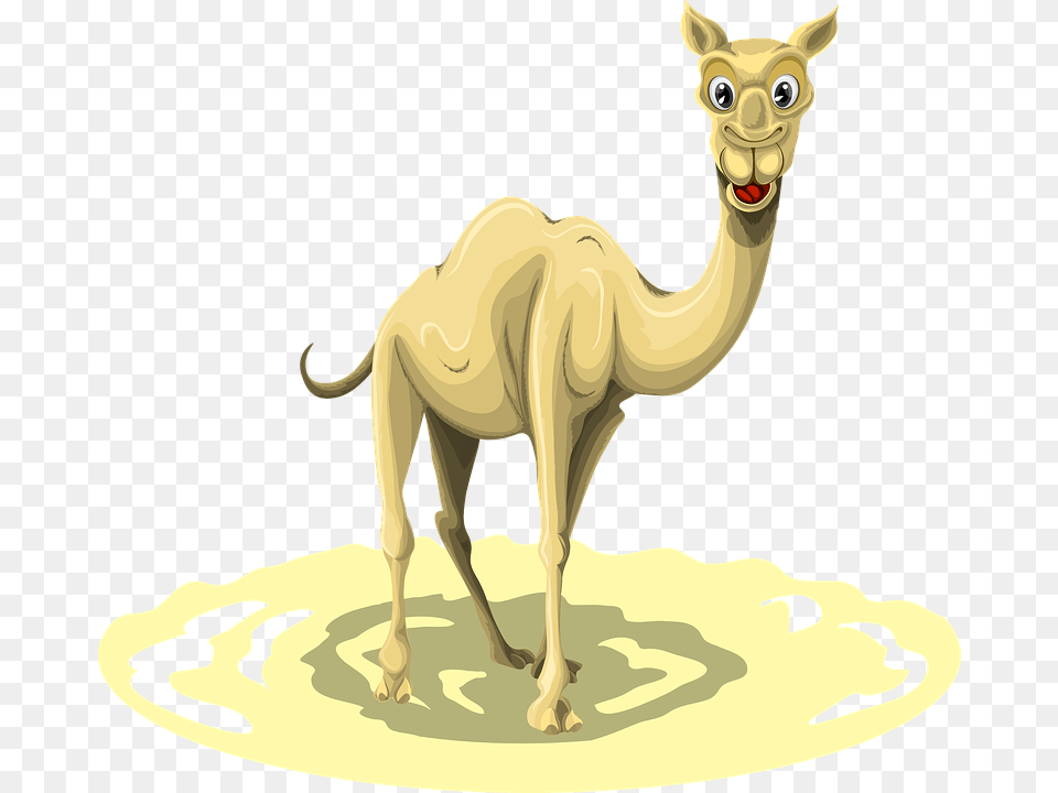 Clip Art Did You Know Interesting Camel, Animal, Mammal, Kangaroo Png Image