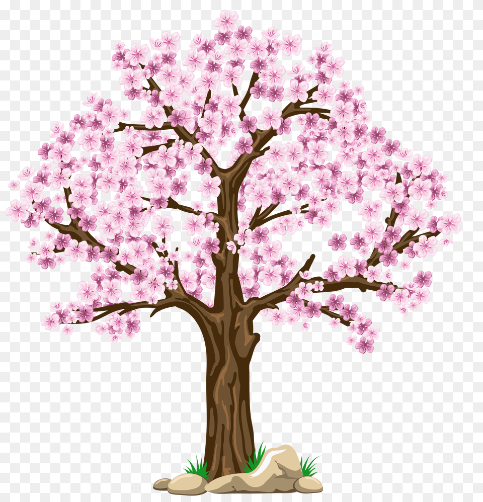 Clip Art Digital Pink Tree Clipart Desenho De Uma Mulher De Costas Free Png Download