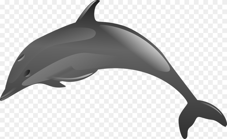 Clip Art Dolphins Jumping Clipart Animales Acuaticos En, Animal, Dolphin, Mammal, Sea Life Png