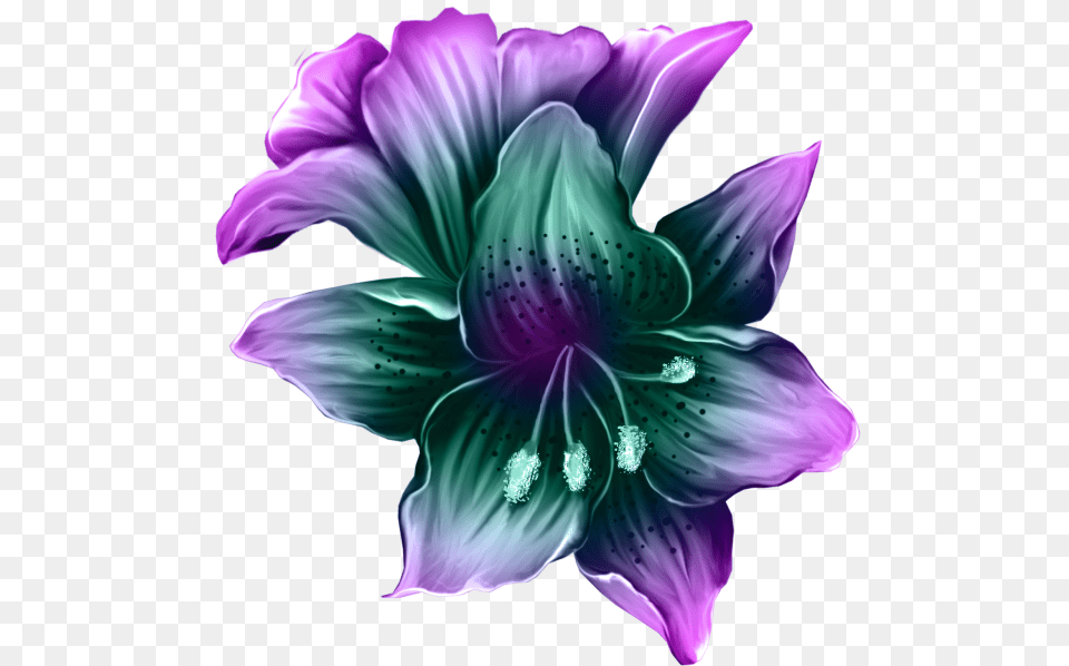 Clip Art Download Amaryllis Drawing Purple Lily Flower Swan Decoupage, Petal, Plant, Anther, Dahlia Png Image