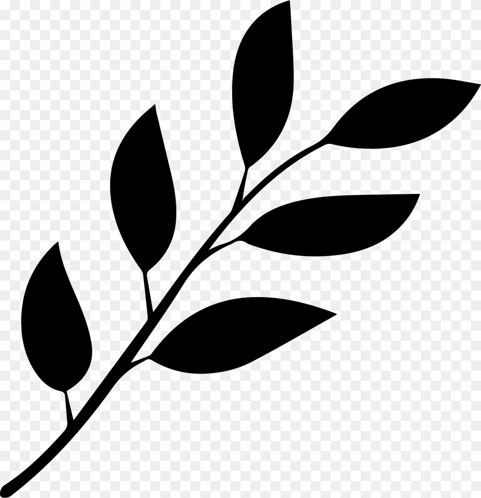 Clip Art On Melbournechapter Black And White Leaf, Gray Free Png Download