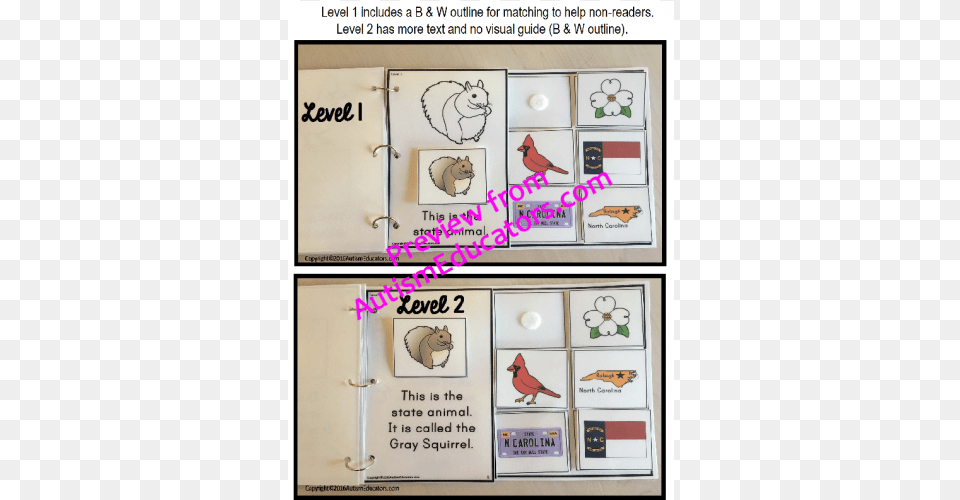 Clip Art Download Symbols Adapted Book For Special Special Education, Animal, Bird, Bear, Mammal Free Transparent Png