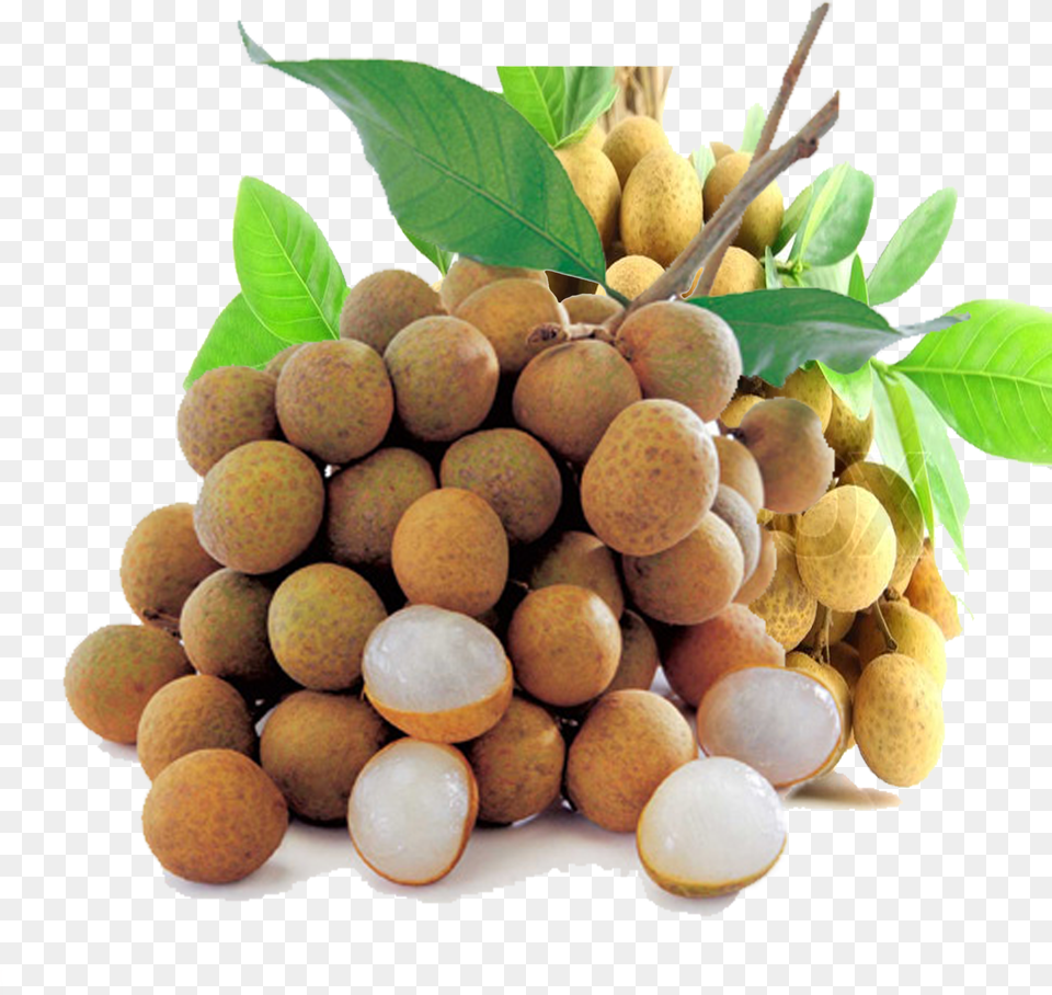 Clip Art Dragon Eye Fruit Longan Fruit In Tamil, Food, Plant, Produce, Annonaceae Png Image