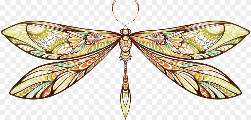 Clip Art Dragon Fly, Animal, Bee, Wasp, Invertebrate Png Image