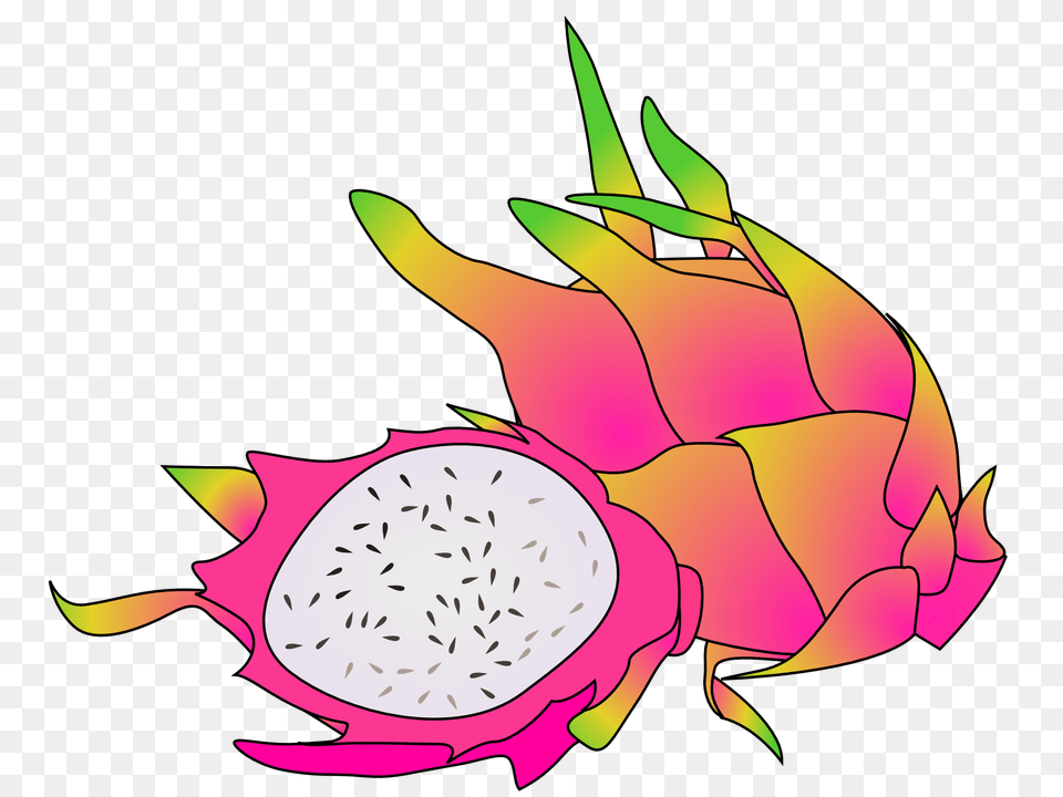 Clip Art Dragon Fruits June, Food, Fruit, Plant, Produce Free Transparent Png