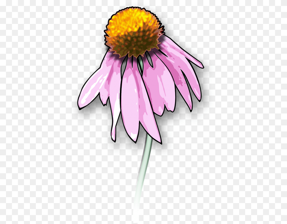 Clip Art Drawing Death Openclipart Graphics, Anther, Daisy, Flower, Petal Free Png Download