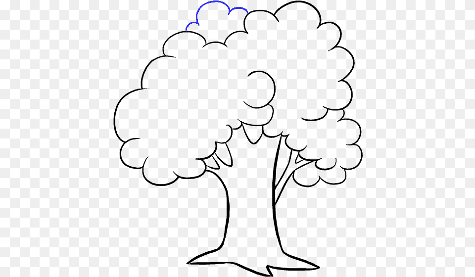 Clip Art Drawing Of A Tree Drawing Picture Of Tree Png Image