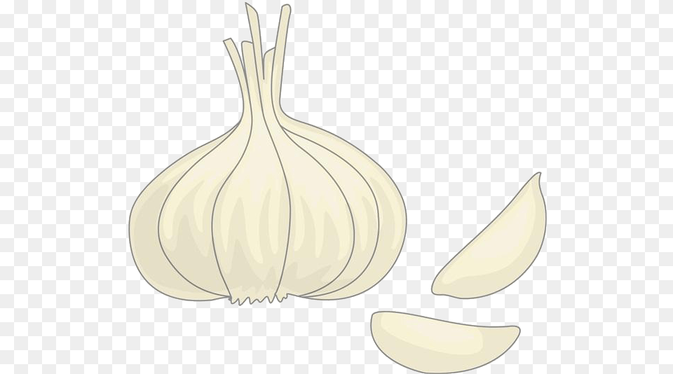 Clip Art Drawing Onion Material Transprent Garlic, Food, Produce, Plant, Vegetable Free Png