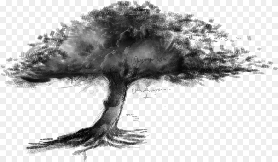 Clip Art Drawing Sketch Transprent Tree Sketch Hd, Silhouette, Black Png Image