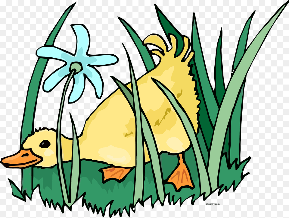 Clip Art Ducks Grass Clipart Pato Animado Comiendo Maiz, Animal, Bird, Waterfowl Free Png