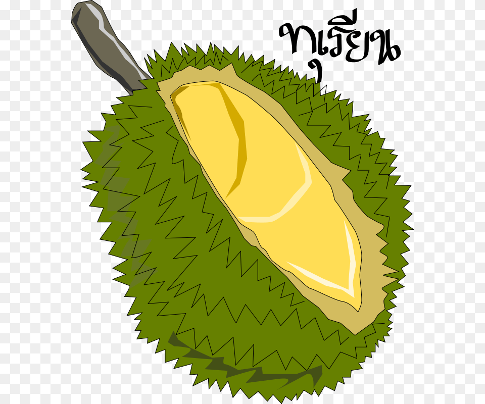 Clip Art Durianthai Fruit, Durian, Food, Produce, Plant Free Png
