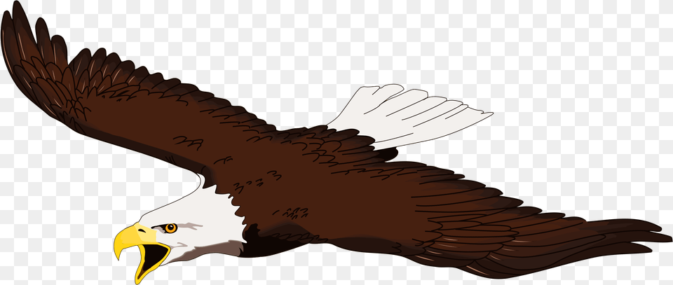 Clip Art Eagle Clip Art Flying Clipart Bald Eagle, Animal, Bird, Beak, Bald Eagle Free Png Download