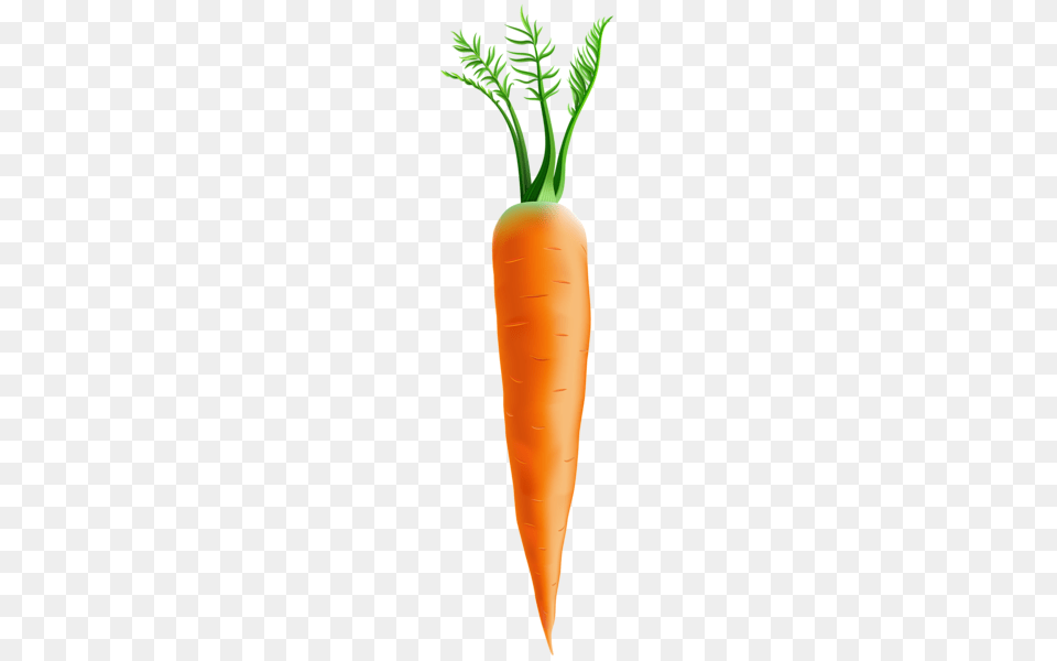 Clip Art Easter Clip Art Art, Carrot, Food, Plant, Produce Free Transparent Png