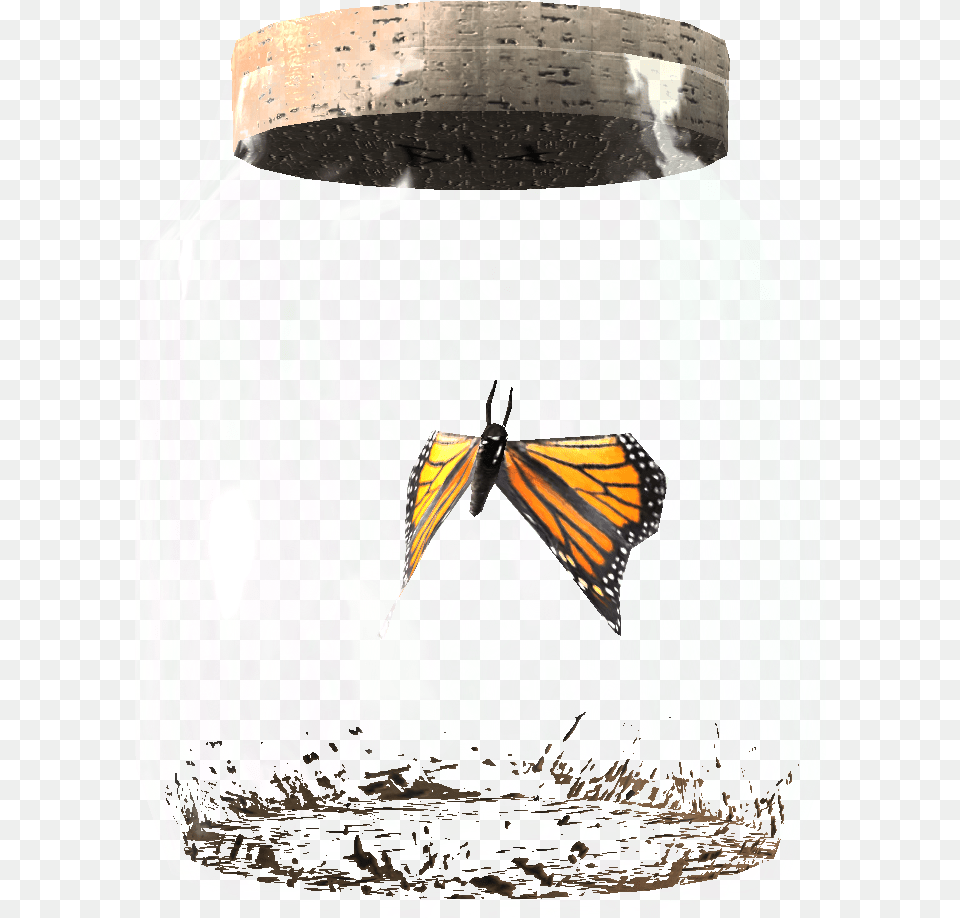 Clip Art Elder Scrolls Fandom Powered Butterfly In A Jar Skyrim, Animal, Insect, Invertebrate, Tape Free Transparent Png