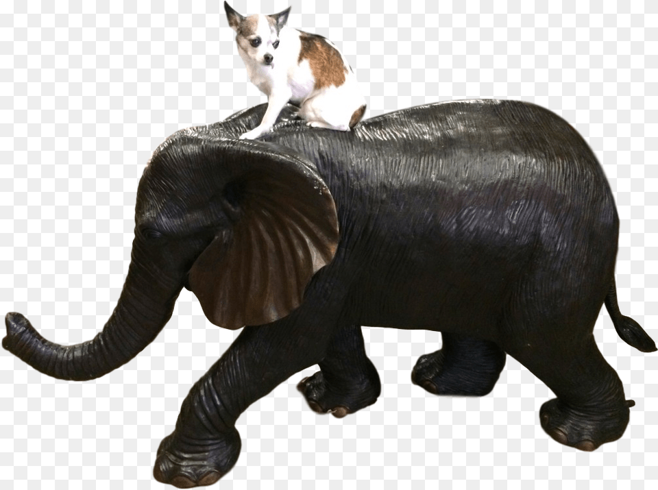 Clip Art Elephant Trunk Snake Indian Elephant, Animal, Mammal, Wildlife, Canine Free Transparent Png
