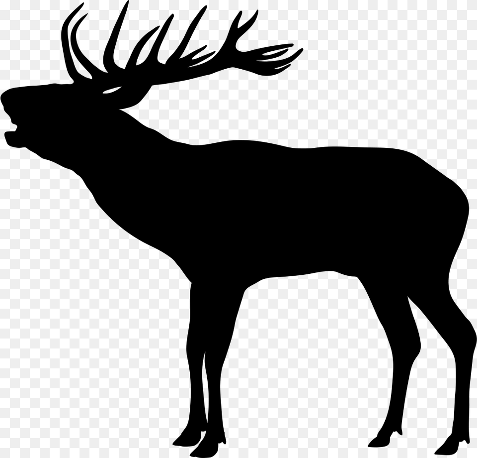 Clip Art Elk Antler Silhouette Kronhjort Silhuet, Gray Free Png