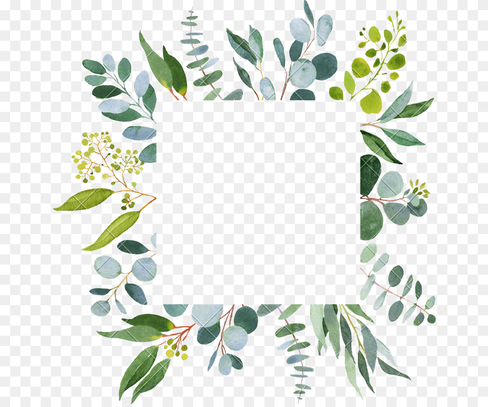 Clip Art Eucalyptus Greenery Greenerys Templates, Herbal, Pattern, Leaf, Herbs Png Image