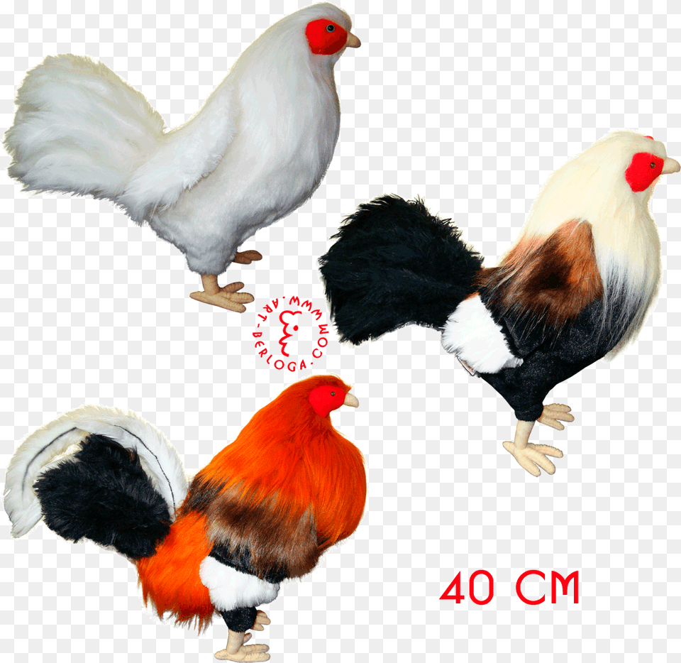 Clip Art Exclusive Tailoring Of Roosters Rooster Fighting Toys, Animal, Bird, Chicken, Fowl Png Image