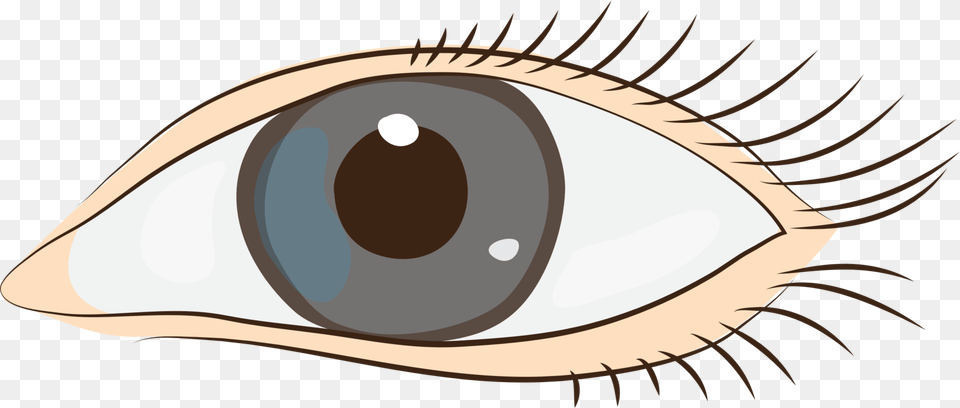 Clip Art Eye Sight Clipart, Contact Lens, Drawing Free Png Download