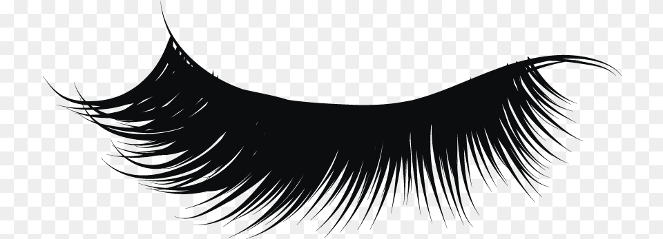 Clip Art Eyelash Extensions Image Transparent Background Eyelash, Nature, Night, Outdoors, Accessories Png