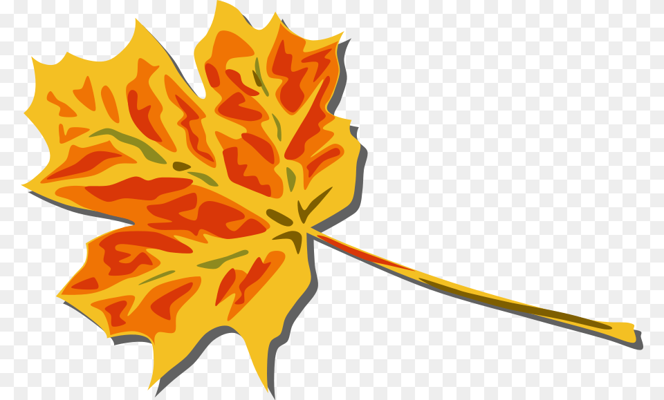 Clip Art Fall Leaf, Plant, Maple Leaf, Tree Free Png