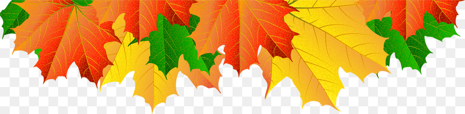Clip Art Fall Tree Border Picture Clip Art Autumn Leaves Border Free Png