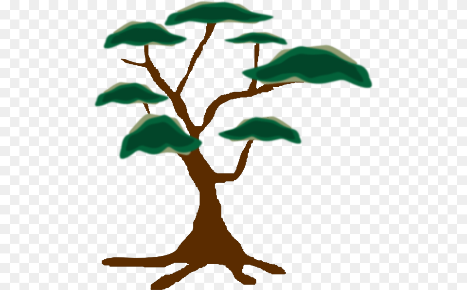 Clip Art Fern Leaf Information, Plant, Tree, Animal, Dinosaur Free Transparent Png