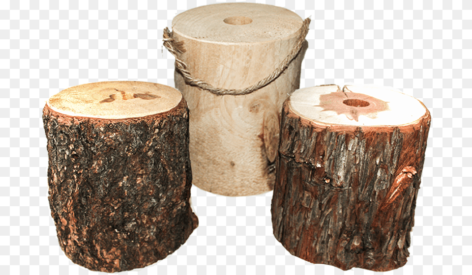 Clip Art Firewood M Vt Kiln Bundle Of Tree Wood, Plant, Tree Stump Png