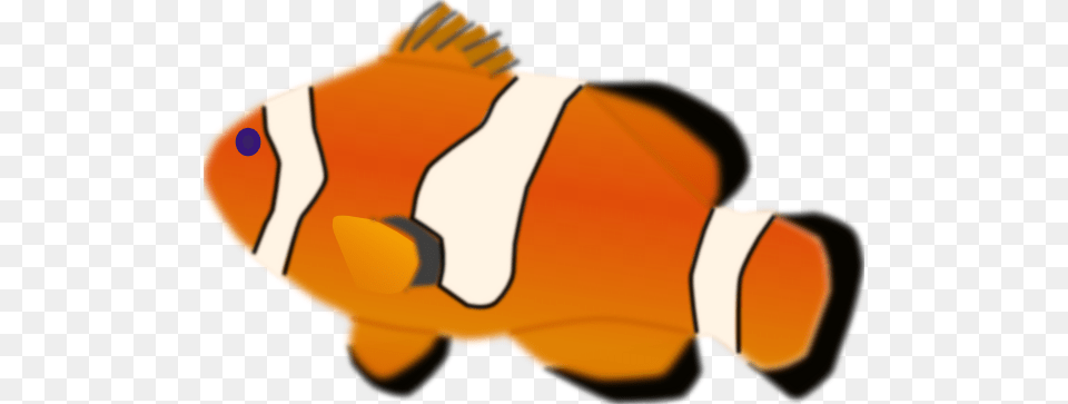 Clip Art Fish, Amphiprion, Animal, Sea Life Png Image
