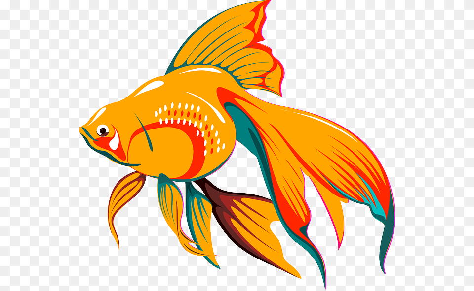 Clip Art Fish Graphic, Animal, Sea Life, Goldfish, Shark Png