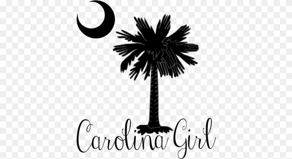 Clip Art Flag With Palm Tree And Moon South Carolina Palmetto Tree, Palm Tree, Plant, Silhouette, Animal Free Png Download