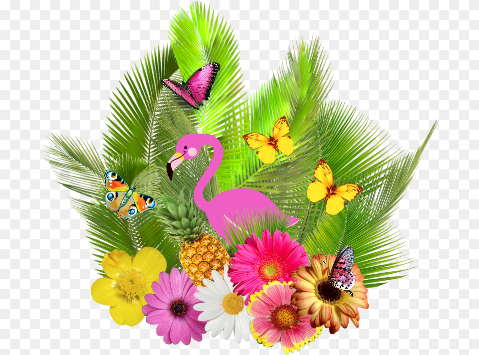 Clip Art Flamingo E Abacaxi, Flower, Flower Bouquet, Daisy, Plant Free Png
