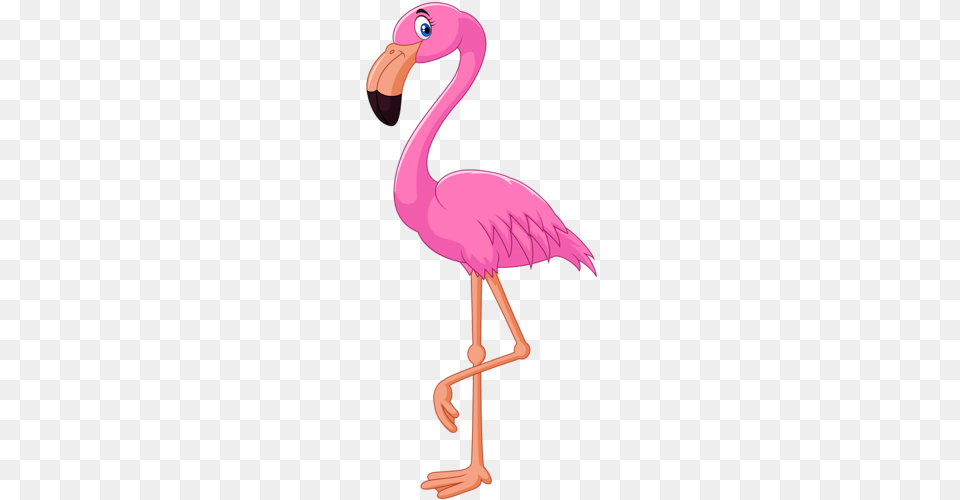Clip Art Flamingo Pink, Animal, Bird Png Image