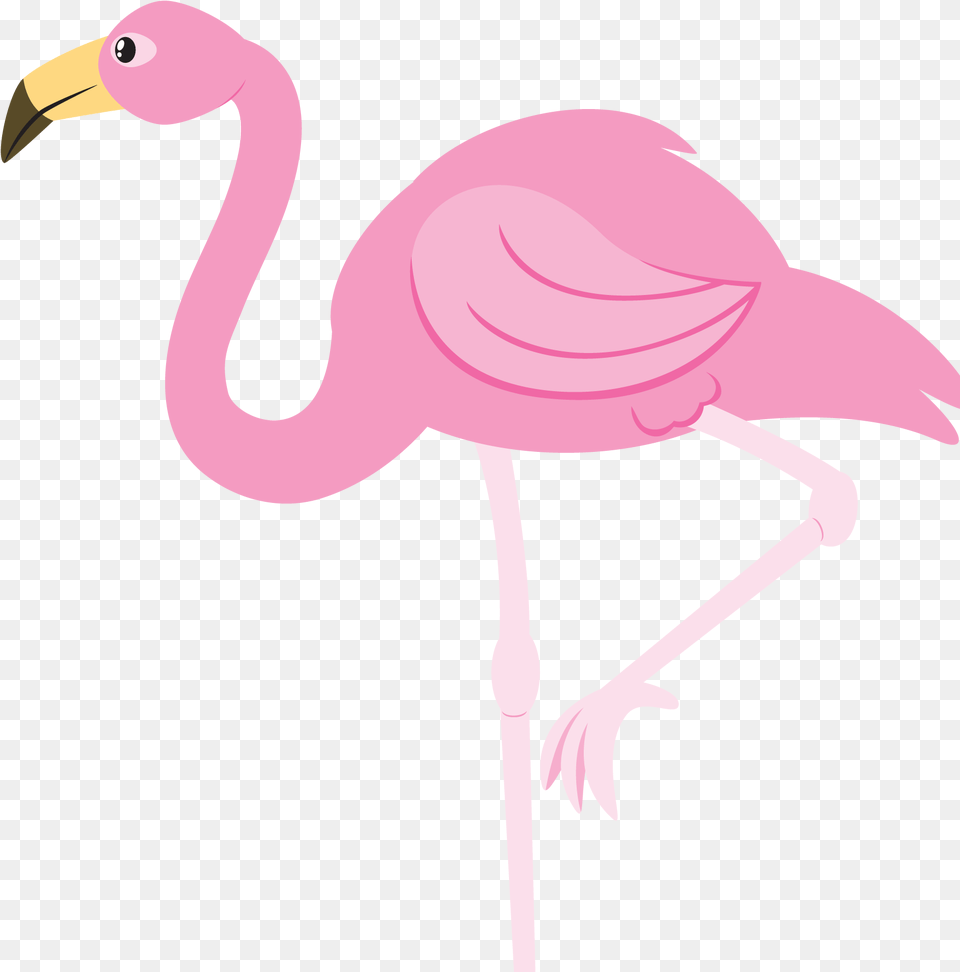 Clip Art Flamingo Vector Flamingo Clipart, Animal, Bird, Kangaroo, Mammal Free Transparent Png