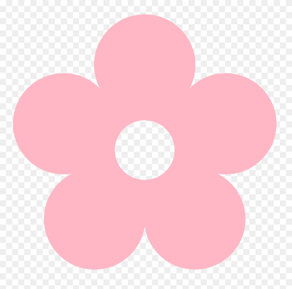 Clip Art Flower Drawing Clip Art, Anemone, Plant, Daisy, Petal Free Transparent Png